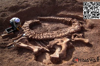 В Китае нашли останки ихтиозавра, подавившегося талаттозавром