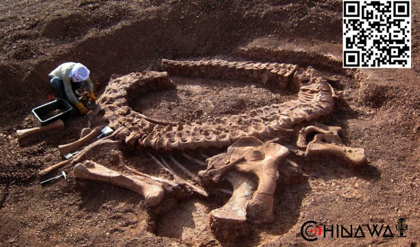 В Китае нашли останки ихтиозавра, подавившегося талаттозавром