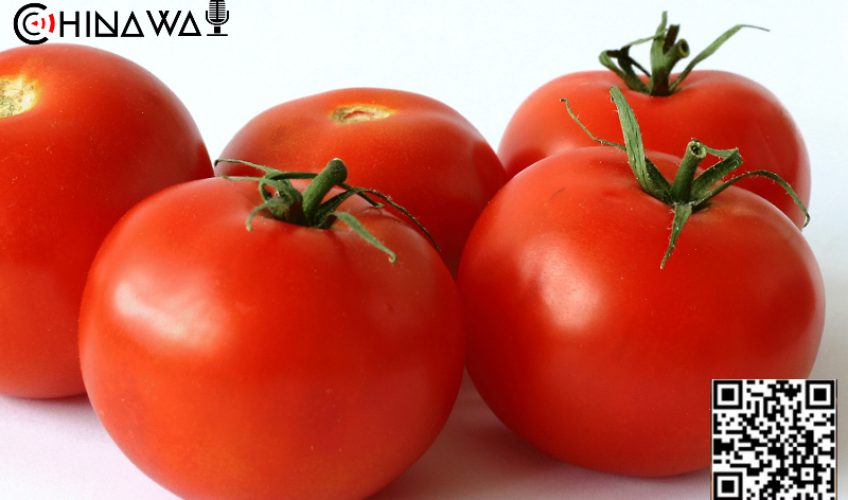 Названы два правильных способа есть помидоры