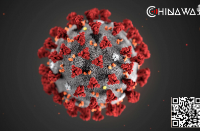 Обнаружен рецептор попадания коронавируса COVID-19 в организм человека