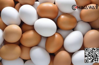 Употребление яиц напрямую сказывается на развитии диабета