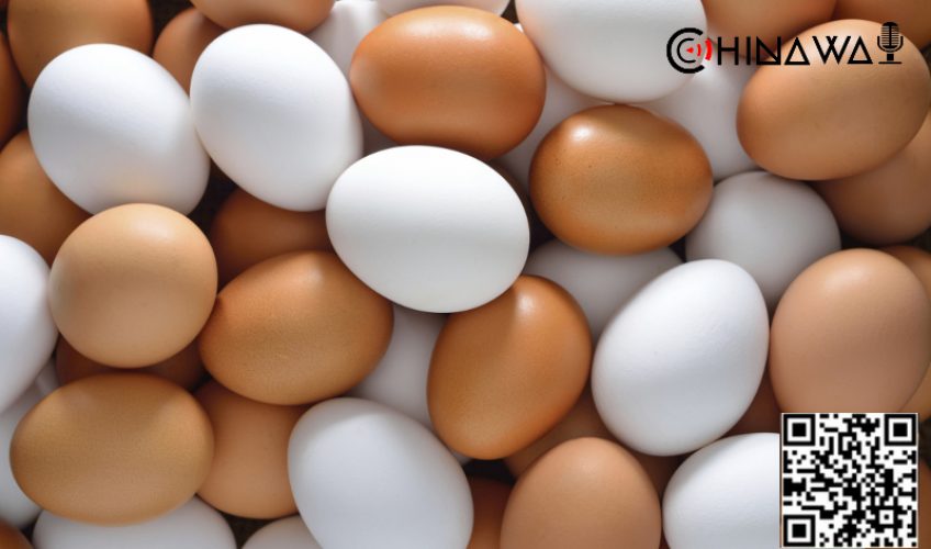 Пользователь Sohu рассказал о правильном способе выбора свежих яиц