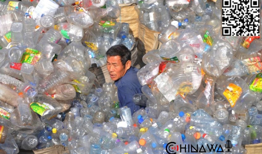 Во всех торговых точках Шанхая с 1 января запретят пластиковые пакеты