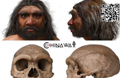 В Китае обнаружили череп, принадлежащий новому виду древнего человека