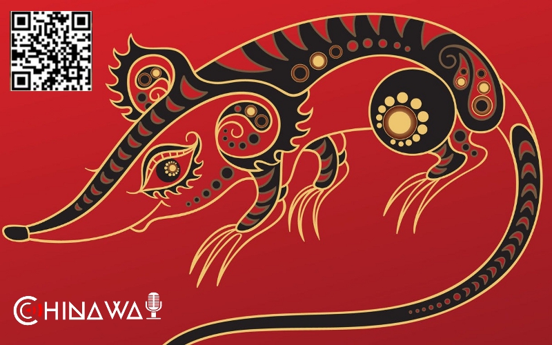 Банк Китая выпустил набор монет в честь нового года