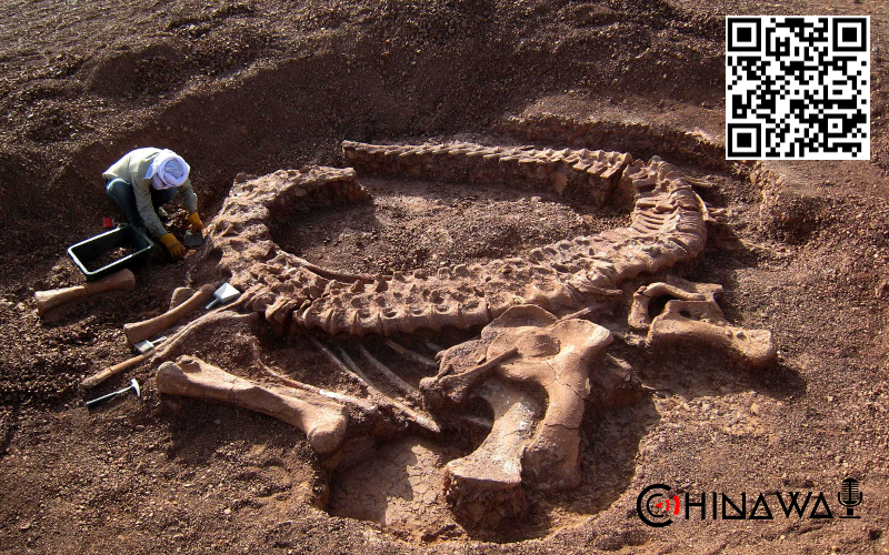 В Китае нашли останки ихтиозавра, подавившегося талаттозавром