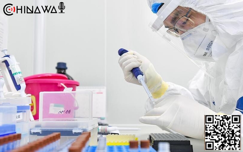 В Китае протестируют вакцину от коронавируса из клеток насекомых