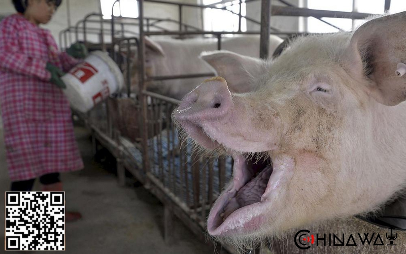 В Китае заканчиваются запасы свинины