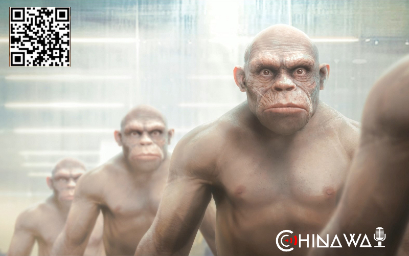 В Китае создадут гибрид человека и обезьяны