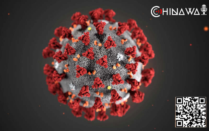 В Китае в биоматериалах летучих мышей нашли близкие к SARS-CoV-2 вирусы