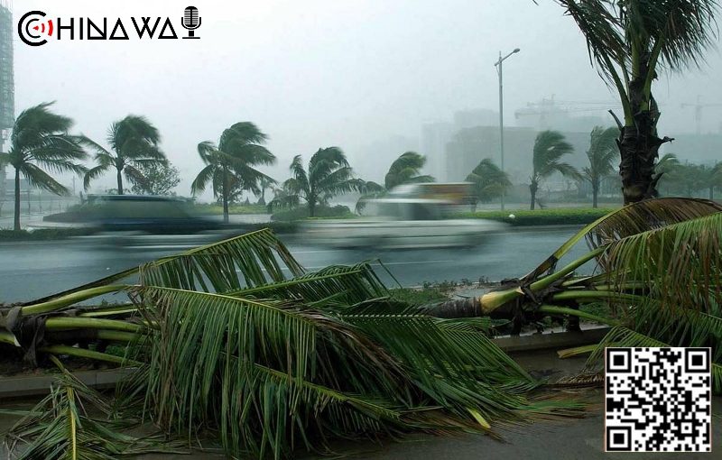 На Хайнане объявлен четвертый уровень реагирования из-за тайфуна «Сван»