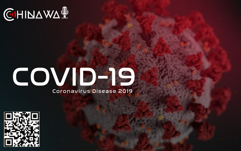 Китайские ученые выявили важность Т-клеток в борьбе с COVID-19