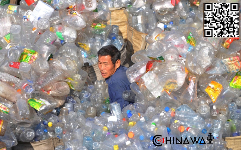 Во всех торговых точках Шанхая с 1 января запретят пластиковые пакеты