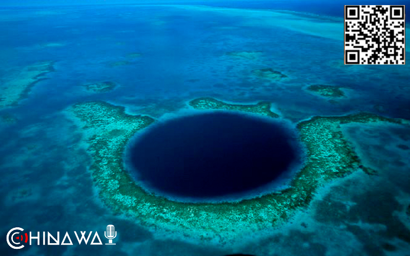 ПРОВЕДЕНА ПЕРВАЯ ВИДЕОТРАНСЛЯЦИЯ ИЗ МАРИАНСКОЙ ВПАДИНЫ