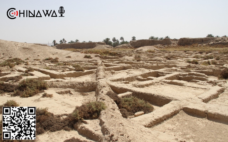 На востоке Китая обнаружено поселение старше 5000 лет