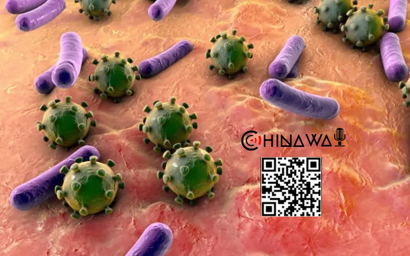 В Китае обнаружены самые глубокие наземные микробы в 5 км под землей