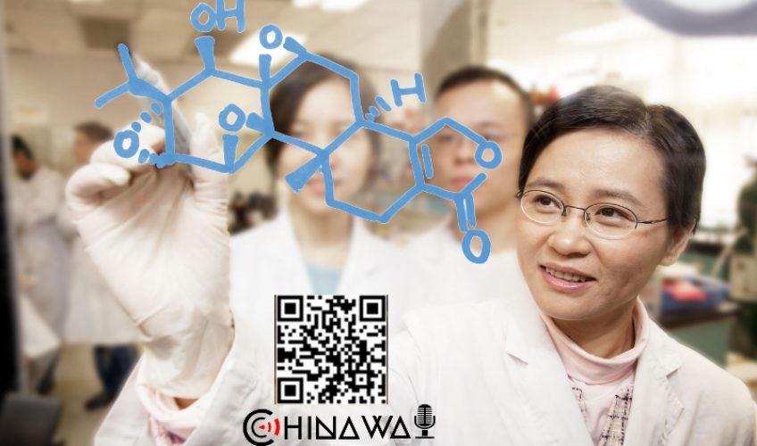 В Китае сообщили три ключевых опасных свойства COVID-штамма «омикрон»
