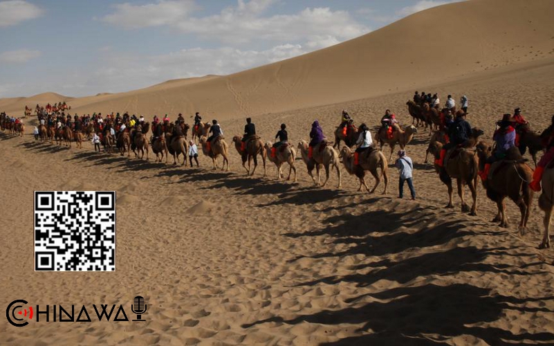 В Китае заработал первый в мире светофор для верблюдов