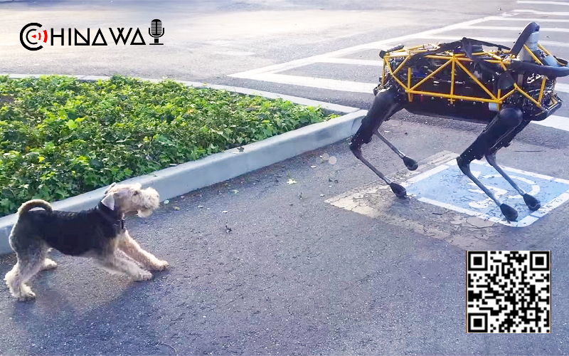Китайская фирма выпустила аналог робопса Boston Dynamics за $2,4 тысячи