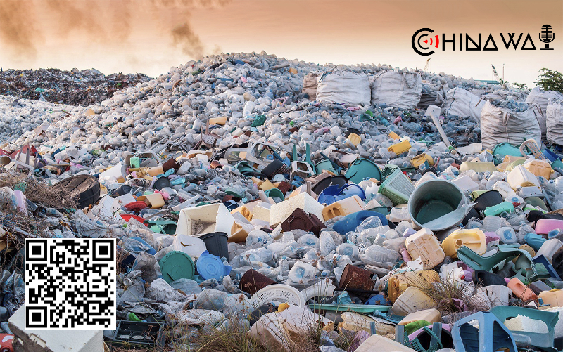 В Китае создали бактерии для очищения окружающей среды от пластика