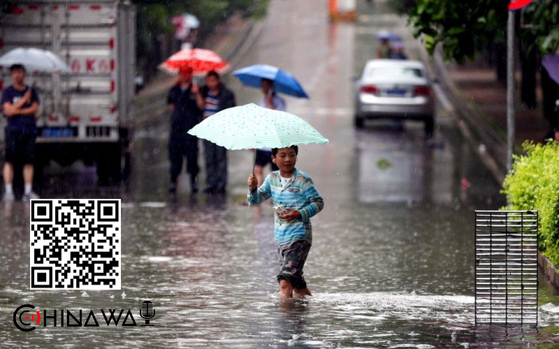 Global Times: в Китае утонул слишком робкий крокодил