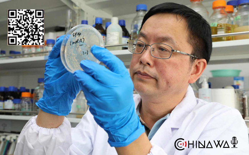 Ученые назвали долю бессимптомных носителей COVID-19